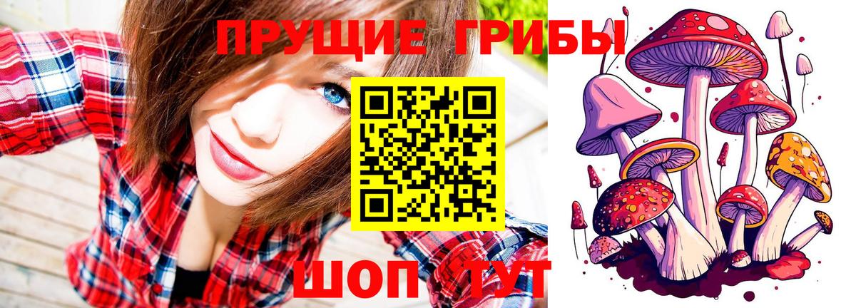 Псилоцибиновые грибы прущие грибы Азнакаево
