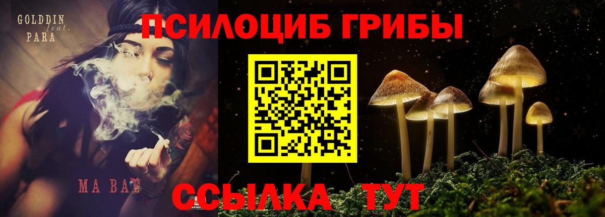 Псилоцибиновые грибы мицелий  Галлюциногенные грибы мухоморы  Азнакаево  Вход с VPN 